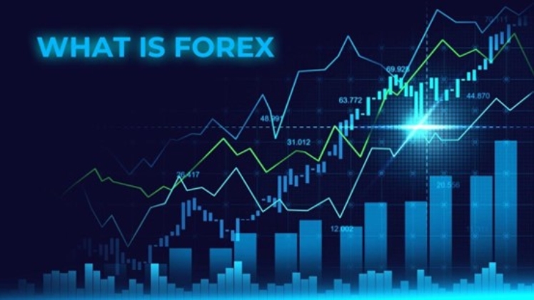 Let’s Share the Best forex brokers for Beginners